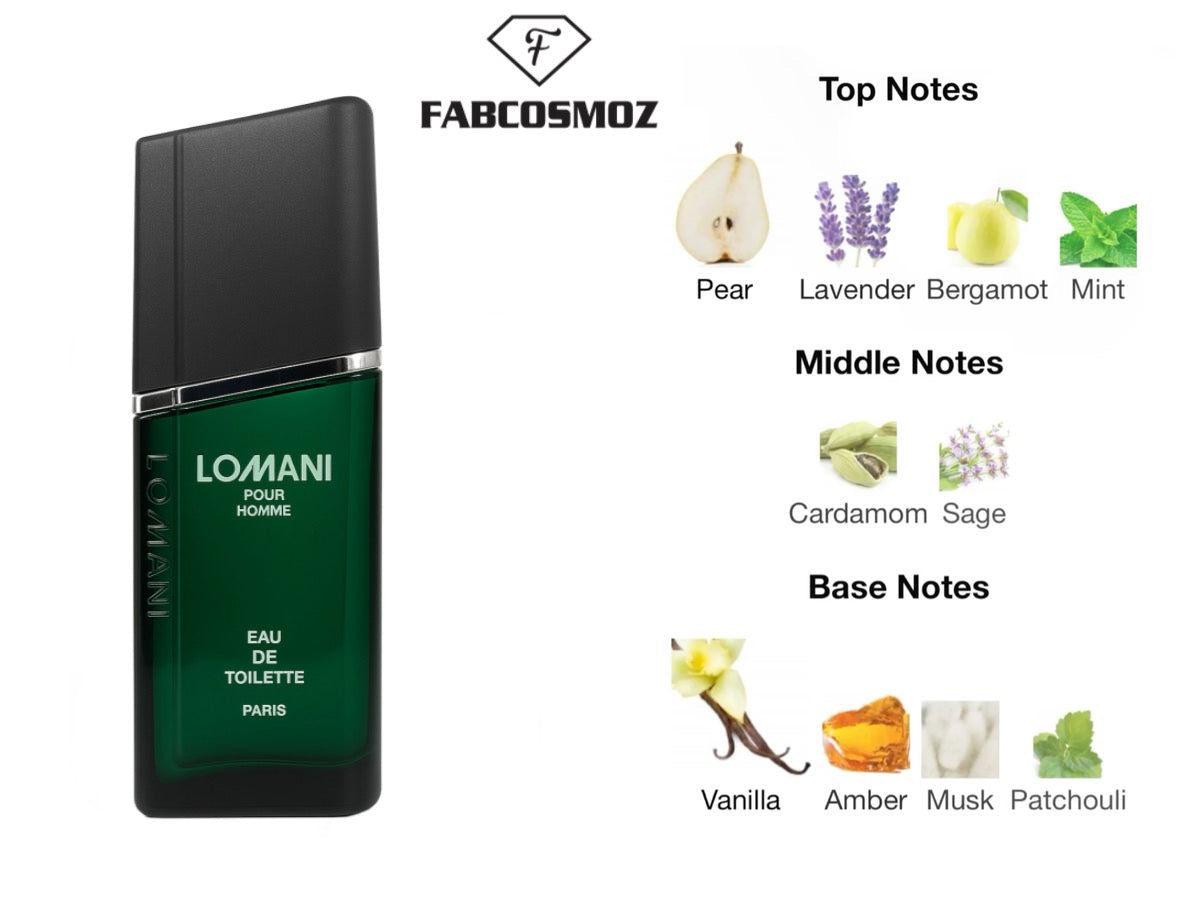 Lomani Pour Homme 100 ml